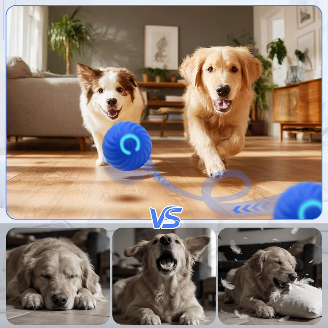 Pelota automática e interactiva para mascotas.