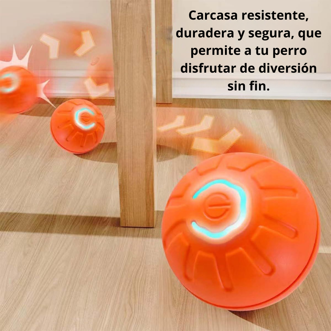 Pelota automática e interactiva para mascotas.